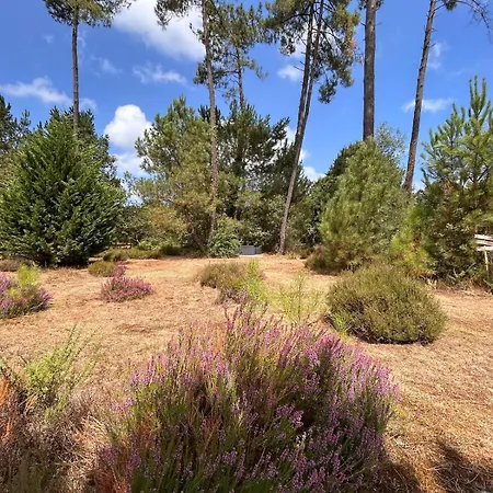 ヴィラ Superbe 300 M2 Avec Piscine Et Jacuzzi Linxe