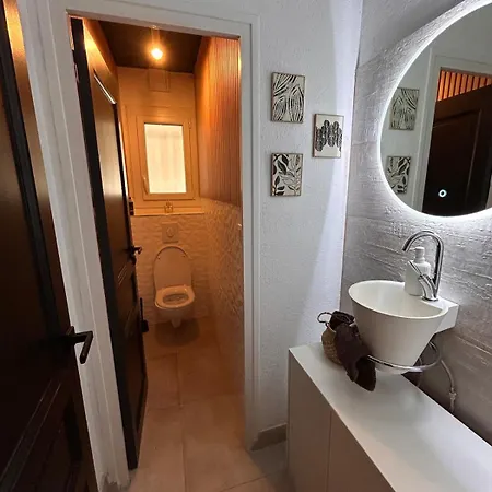 ヴィラ Superbe 300 M2 Avec Piscine Et Jacuzzi Linxe