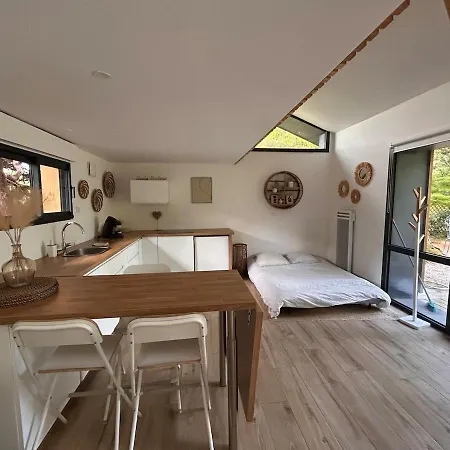 Superbe 300 M2 Avec Piscine Et Jacuzzi *