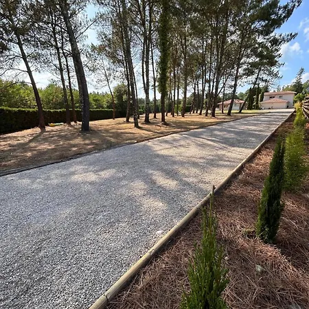 Superbe 300 M2 Avec Piscine Et Jacuzzi * Linxe