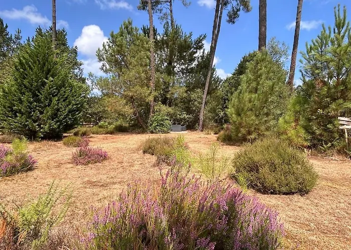 Villa Superbe 300 M2 Avec Piscine Et Jacuzzi Linxe