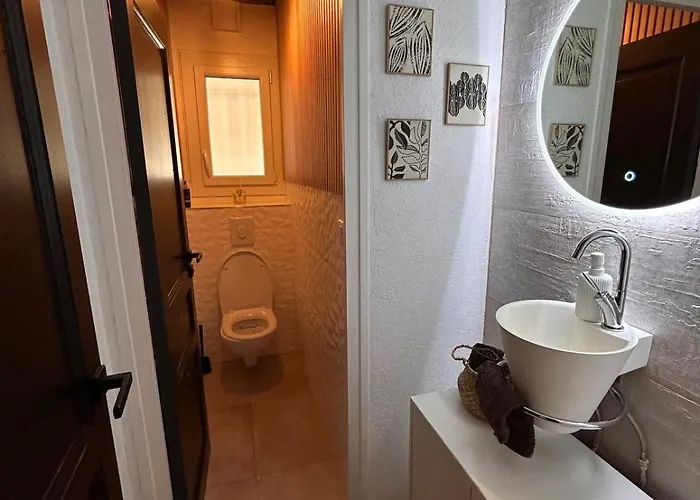 Villa Superbe 300 M2 Avec Piscine Et Jacuzzi Linxe