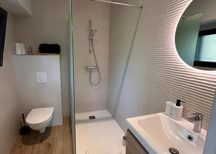 Superbe 300 M2 Avec Piscine Et Jacuzzi * Linxe