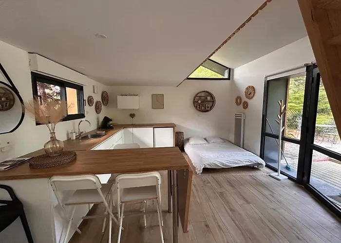 Superbe 300 M2 Avec Piscine Et Jacuzzi *