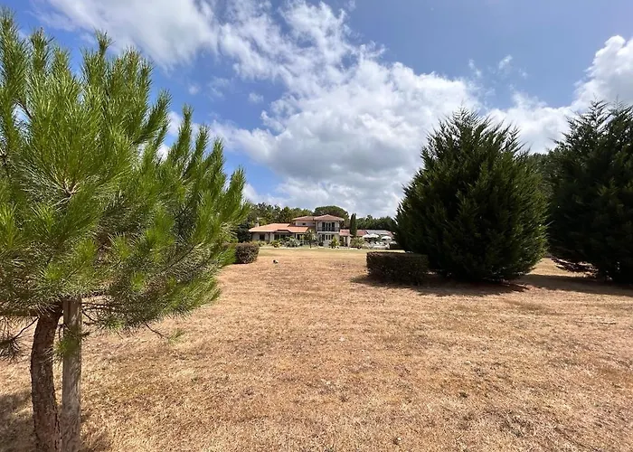 Villa Superbe 300 M2 Avec Piscine Et Jacuzzi Linxe