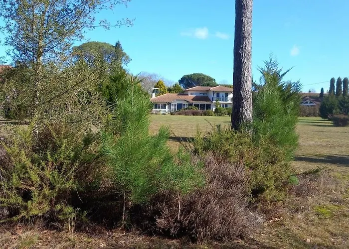 Superbe 300 M2 Avec Piscine Et Jacuzzi